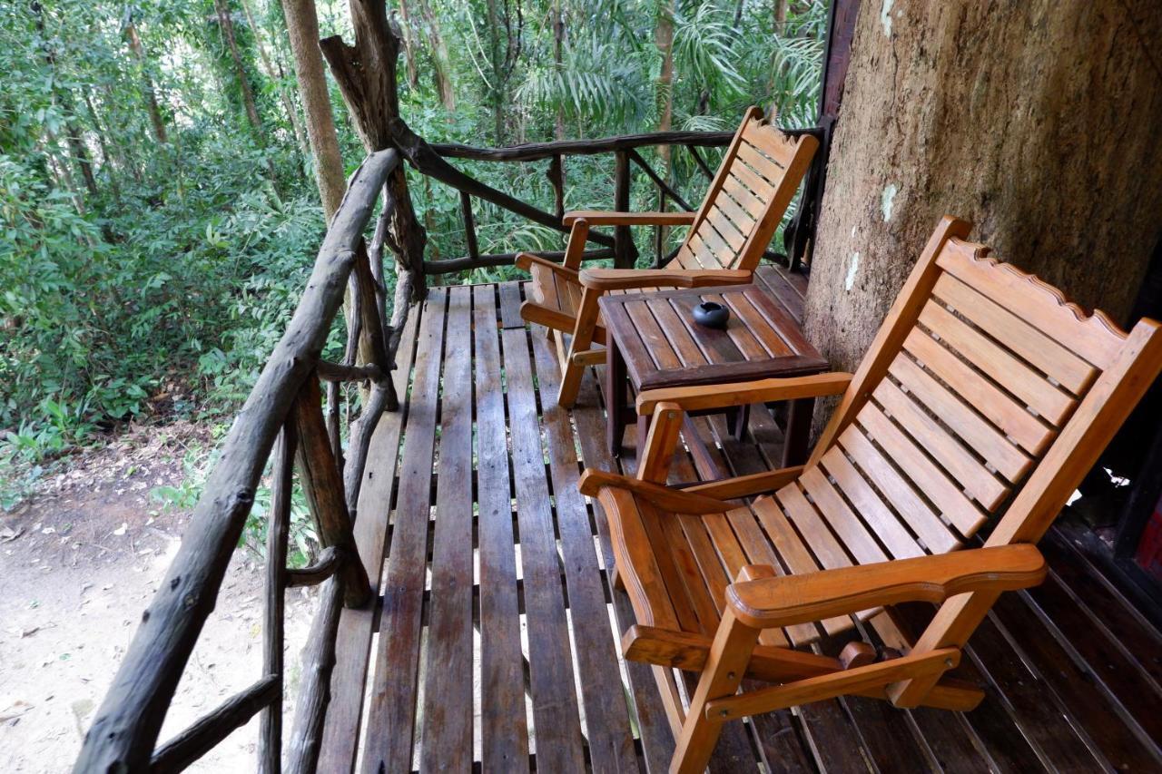 Station touristique Khao Sok Nature