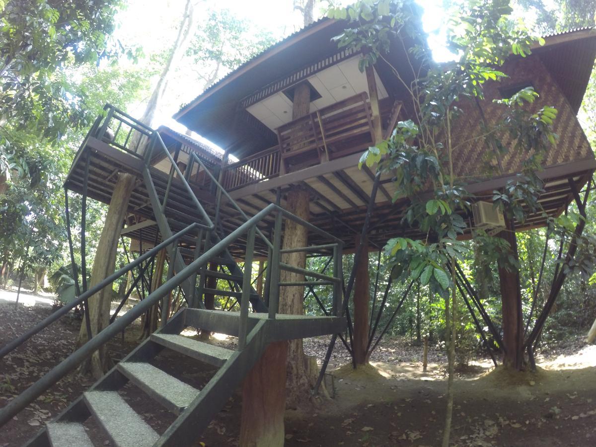 Tempat peranginan Khao Sok Nature 3*